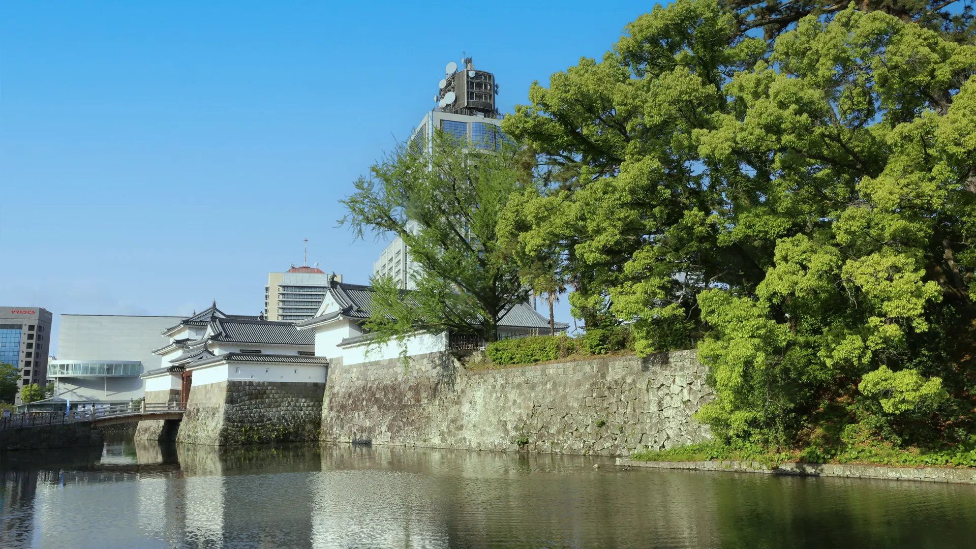 まどか法律事務所
